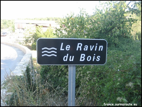 RAVIN DES BOIS 04.JPG