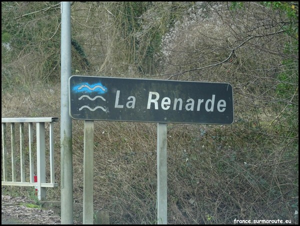 RENARDE 91.JPG