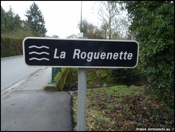 ROGUENETTE 28.JPG