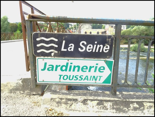 SEINE 10 (Bar sur S).JPG