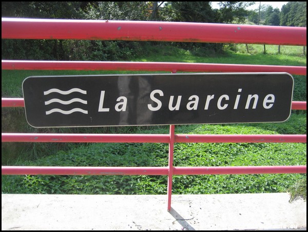 SUARCINE 90.JPG