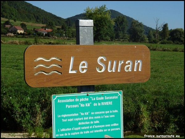 SURAN 39.JPG