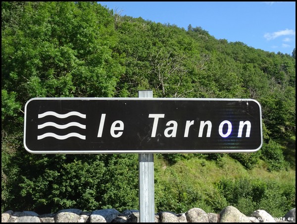 TARNON 48 .JPG