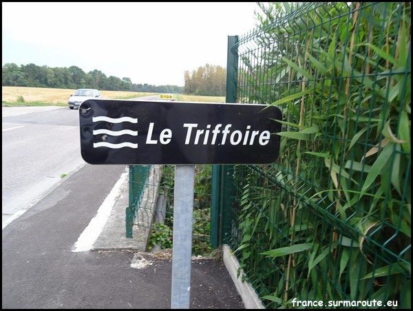 TRIFFOIRE 10.JPG
