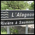 ALAGNON 43.JPG
