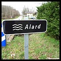 ALARD 19.JPG