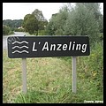ANZELING 57.JPG