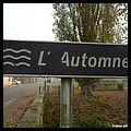 AUTOMNE 60.JPG