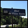 BEAL DE PISSE VACHE 05.JPG
