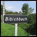 BIBICHBACH 57.JPG
