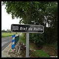 BIEF DE ROLLIN 01.JPG