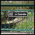 CANARDIER 37.JPG