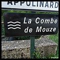 COMBE DE MOUZE 38.JPG
