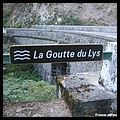 GOUTTE DU LYS 90.JPG