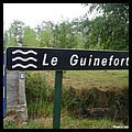 GUINEFORT 22.JPG