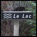 LAC 15.JPG