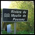 MOULIN DE POUSSEY 10.JPG