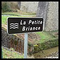 PETITE BRIANCE 87.JPG