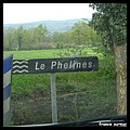 PHELINES 42.JPG