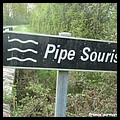 PIPE SOURIS 28.JPG
