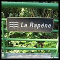 RAPENE 90.JPG