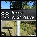 RAVIN DE SAINT PIERRE 04.JPG