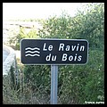 RAVIN DES BOIS 04.JPG