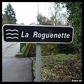 ROGUENETTE 28.JPG