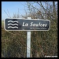 SAULCES 08.JPG