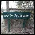 SAUSSERON 95.JPG