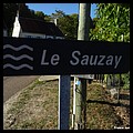 SAUZAY 58.JPG