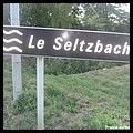 SELTZBACH 67.JPG