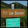 SURAN 39.JPG