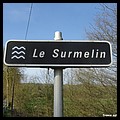 SURMELIN 51.JPG