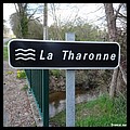 THARONNE 41.JPG